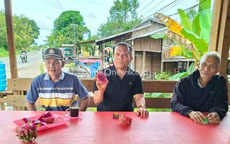 Tingkatkan Daya Saing Produk Buah Naga Petani Lokal Palangka Raya