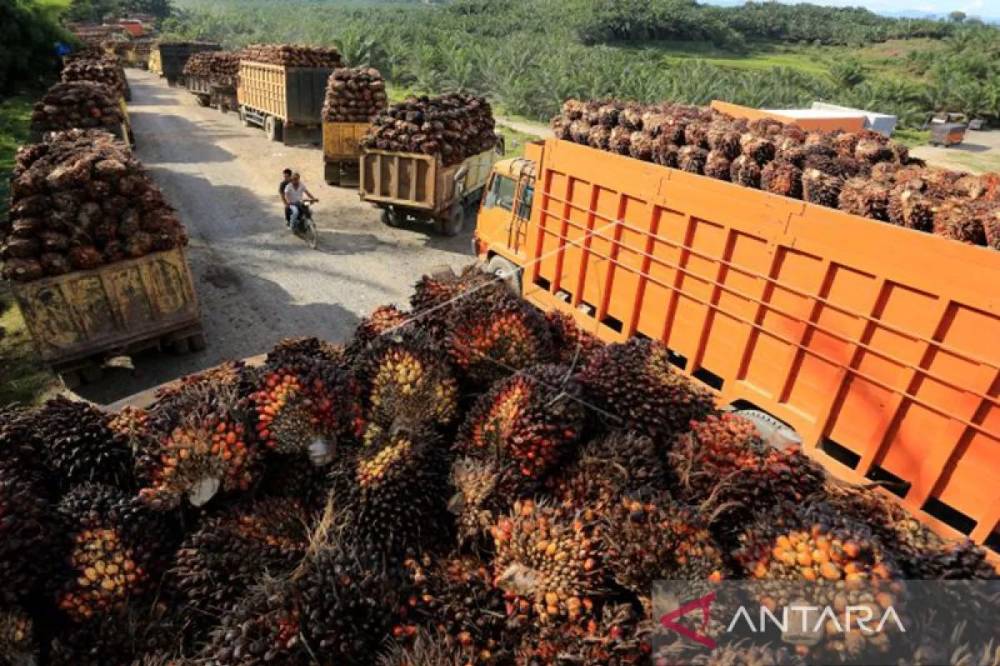 Korem 102 Panju Panjung Siap Amankan Kebijakan Pusat, Termasuk Investasi Sawit