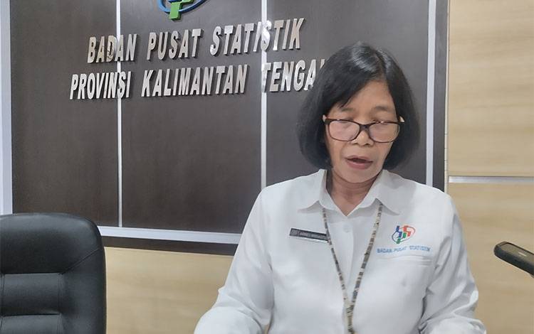Penumpang Angkutan Udara Terkonsentrasi di Empat Bandara Utama Kalteng