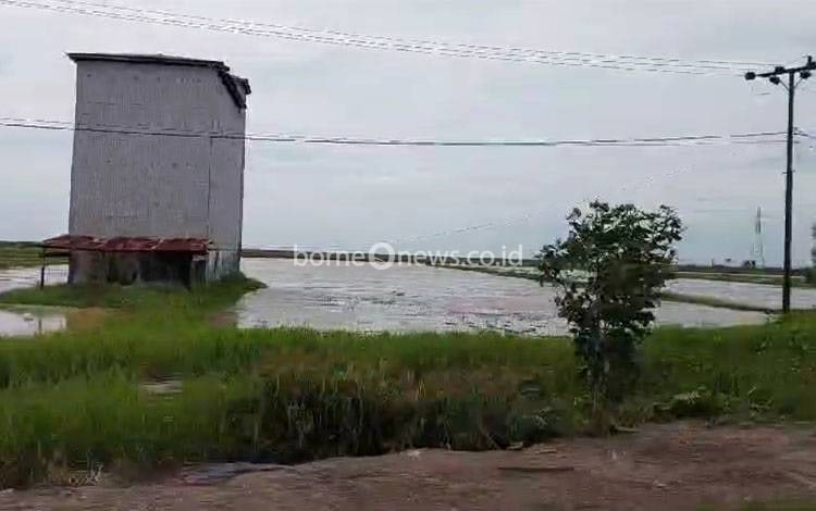 Alokasi Program Cetak Sawah Rakyat di Kotim Diperkirakan Ada Pengurangan