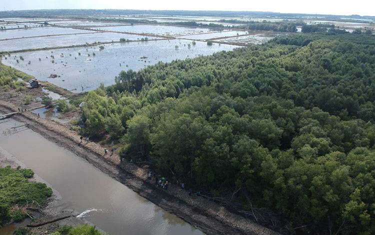 Kawasan pesisir Kuala Pembuang menjadi tempat usaha untuk pengembangan budidaya komuditas perikanan di wilayah setempat (Foto : Ist)