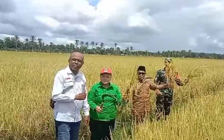 Kegiatan panen raya padi di Desa Tamban Luar, Kecamatan Bataguh. (FOTO: IST)