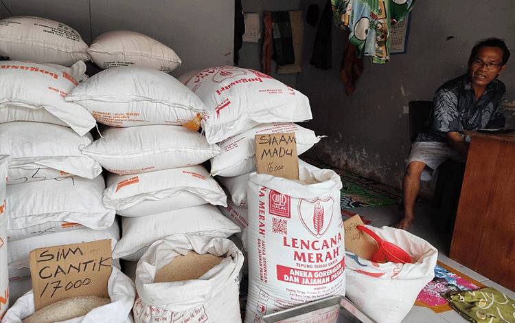 Harga Beras Diprediksi Naik Akibat Padi di Tingkat Petani Naik