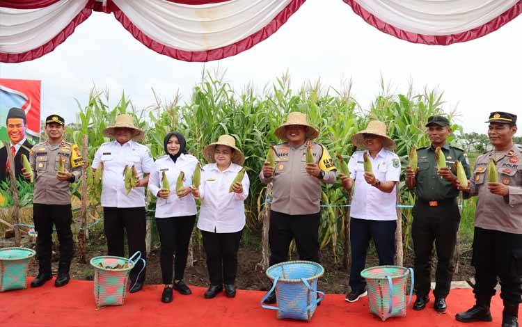 Kapolres Kapuas Ikuti Panen Raya Jagung di Basarang Sekaligus Vicon dengan Kapolri