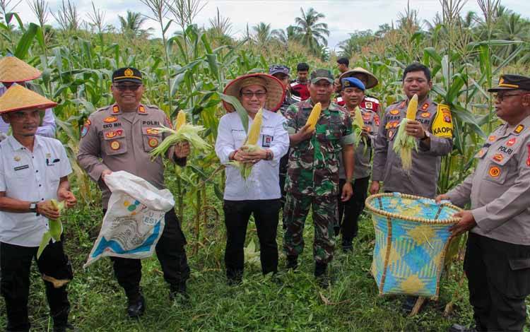 Pemkab Apresiasi Panen Raya Jagung Serentak Tahap I oleh Polres Seruyan