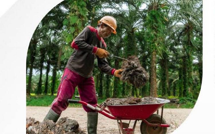 Negara Pengimpor Minyak Sawit Hasilkan Nilai Tambah Ekonomi