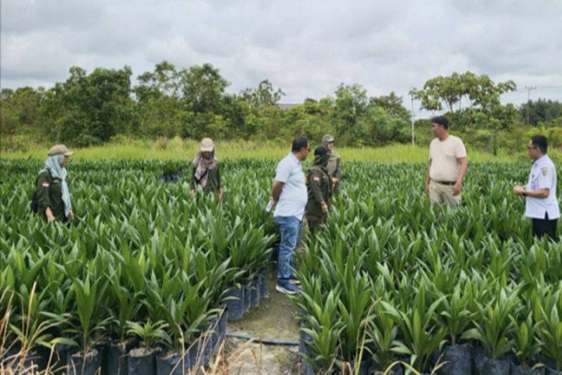 Disbun Kalteng Turunkan Tim Awasi dan Bina Produsen Bibit Sawit
