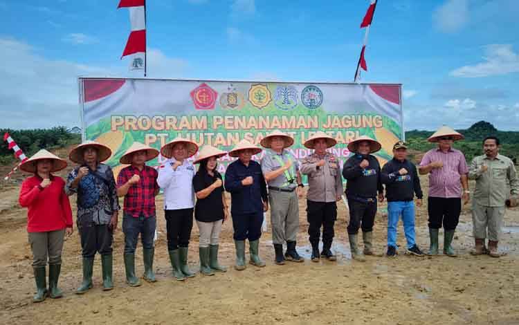Penanaman Jagung di Lahan 12 Hektar Wujudkan Ketahanan Pangan di Tualan Hulu