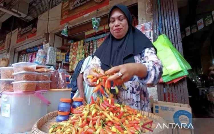 BPS Dorong Penguatan Stok Komoditas Penyumbang Inflasi di Sampit