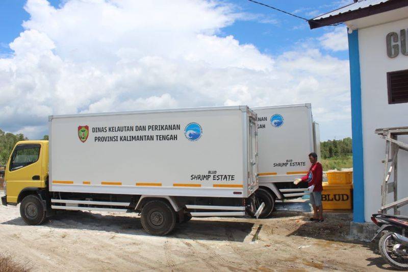 Kalteng Optimalkan Shrimp Estate Sebagai Penghasil PAD