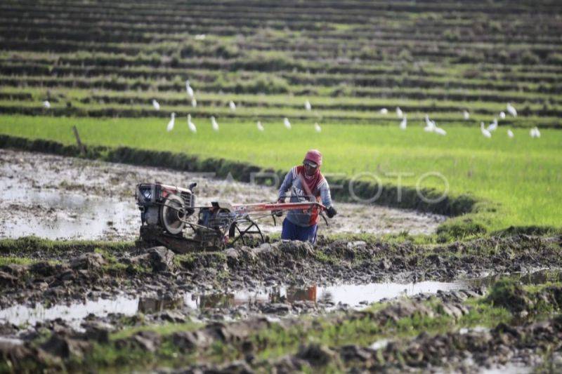 DPKP Kotim Serahkan 105 Alsintan untuk Operasional Brigade Pangan