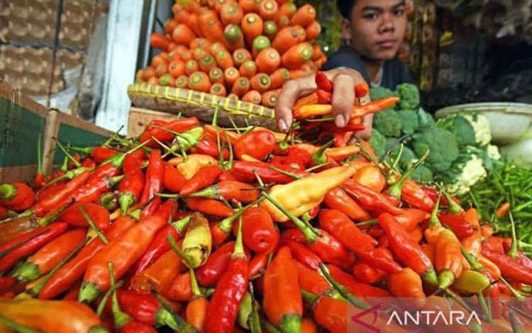 Harga Pangan Jumat, Cabai Rawit Rp97.250/Kg, Bawang Merah Rp43.850/Kg