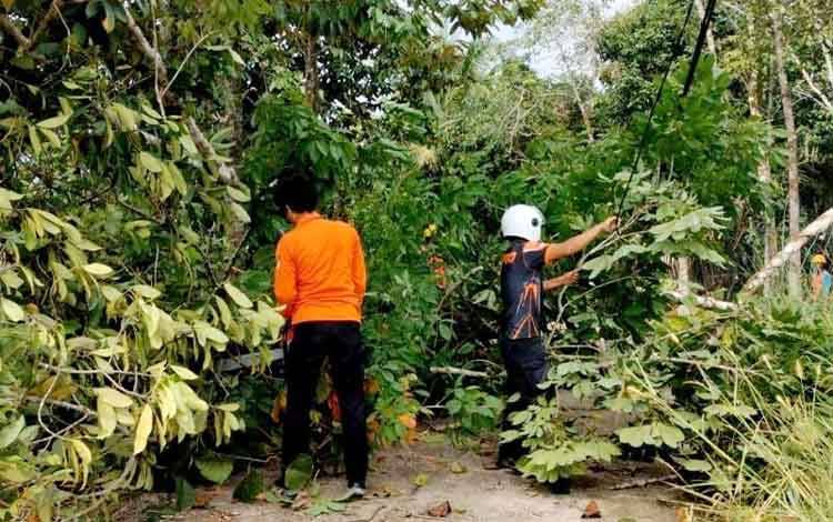 Pusdalops BPBD Barito Utara-PLN Tangani Pohon Tumbang Halangi Lalin dan Jaringan Listrik