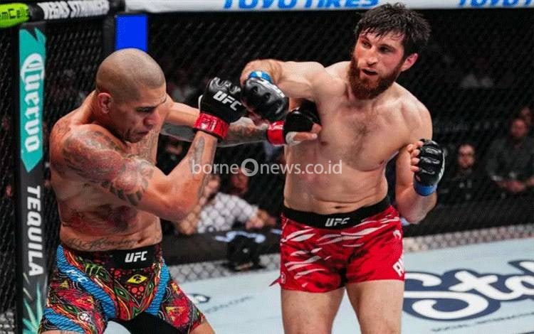 Magomedov Ankalev Tak Bisa Berkata-Kata Usai Rebut Juara di UFC 313
