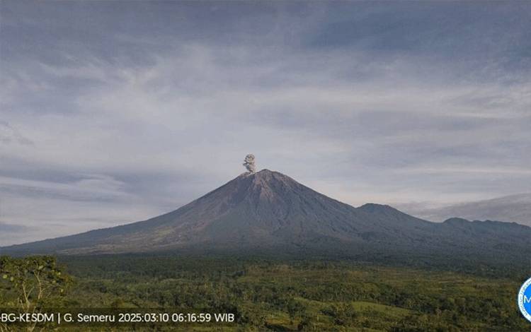 Semeru Beberapa Kali Erupsi dengan Tinggi Letusan hingga 1.100 meter