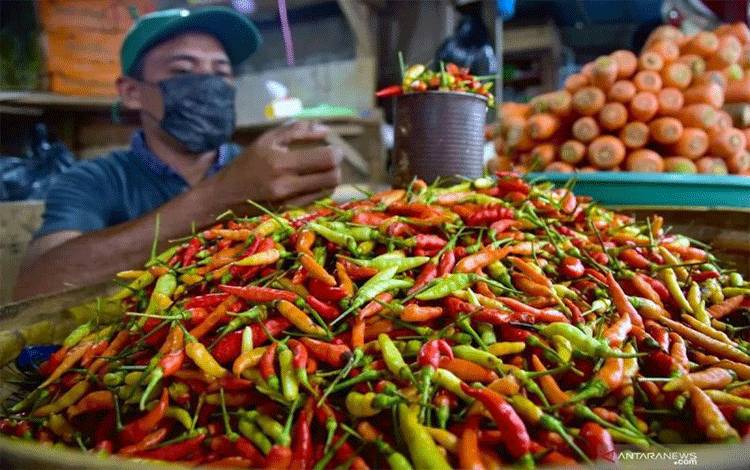 PIHPS: Harga Bawang Merah Rp47.200/kg, Cabai Rawit Rp99.900/kg