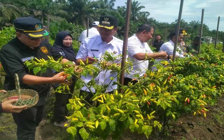 Sukamara Terima Kuota 5.800 Hektare Cetak Sawah