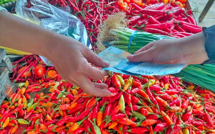 Harga Cabai Rawit Hijau di Kobar Naik masih Rp100.000 per Kg