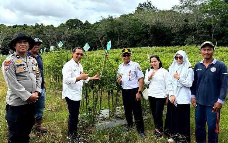 DKPP Barito Utara Dorong Program P2L untuk Stabilkan Harga Cabai Rawit selama Ramadan