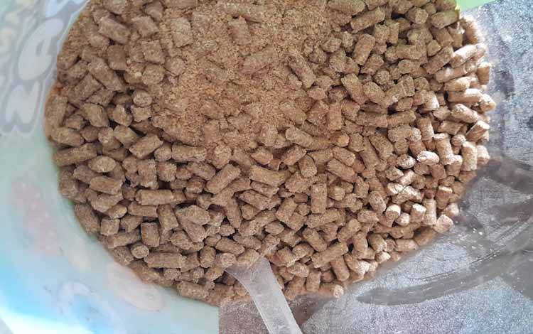 Pakan ternak (Foto:MARINI)