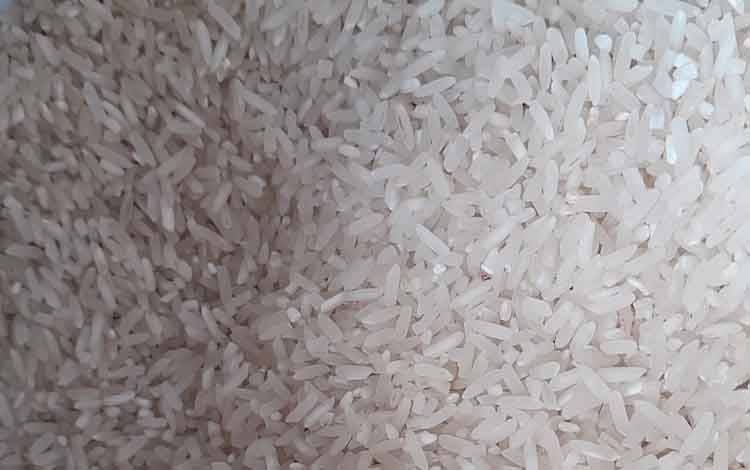 Pelaku Usaha dan Petani Perlu Kerja Sama Pastikan Ketersediaan Beras Sesuai Takaran