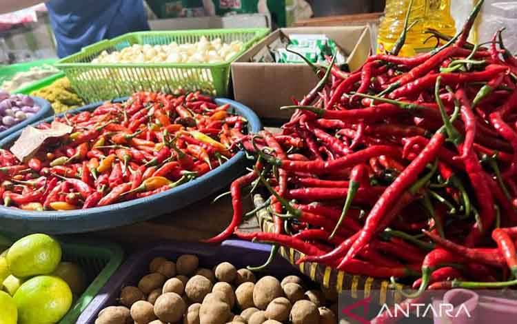 Harga Cabai Melonjak di Kobar, Rawit Tembus Rp100 Ribu per Kg