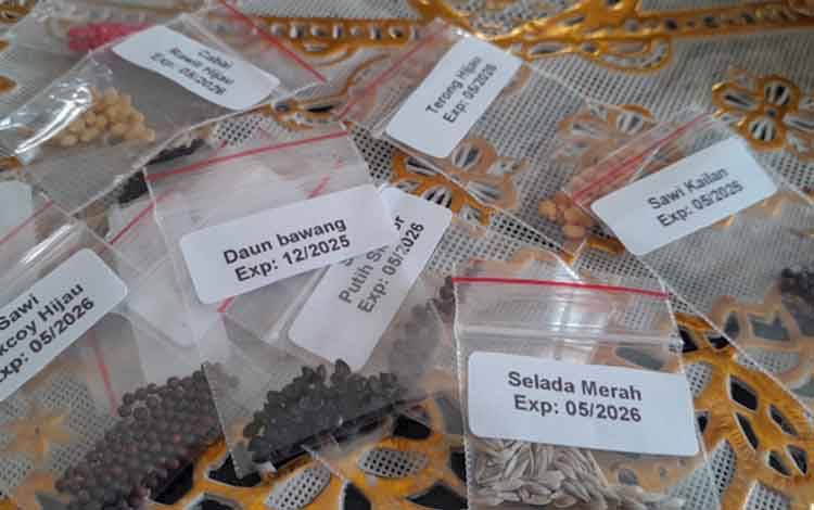 Benih sayuran (FOTO: MARINI)