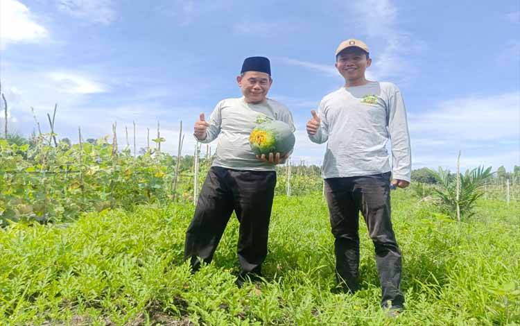 Anggota DPRD Pulang Pisau Sukses Kembangkan Pertanian Semangka dan Melon