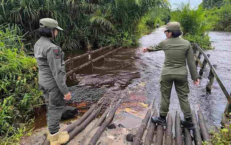 Pantau Banjir, TRC Satpol PP Kalteng Temukan Akses Warga Terputus