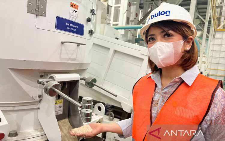 Pemerintah Investasi Rp16,6 Triliun ke Bulog Sejahterakan Petani