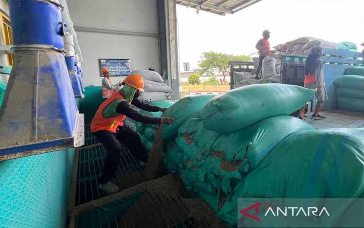 Sejumlah pekerja melakukan pembongkaran gabah yang dimuat dari mobil truk untuk diproses menjadi beras di Sentra Penggilingan Padi Sragen, Jawa Tengah, Jumat (21/3/2025). ANTARA/Harianto