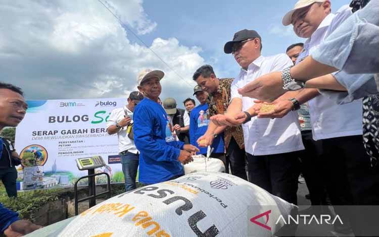 Wadirut Bulog Minta Petani Jaga Kualitas Gabah agar Pengolahan Cepat