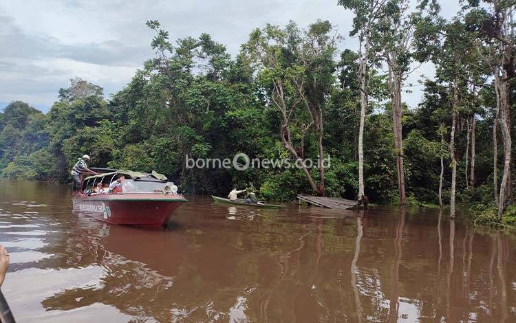 PT SSMS Tbk Konsisten Lindungi Lingkungan Lewat Program Pra Pelepasliaran Orangutan