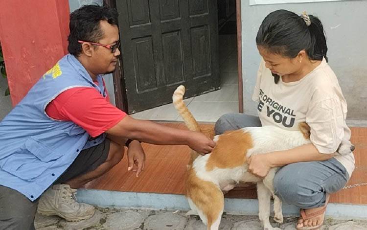 Penurunan Capaian Vaksinasi Rabies di Palangka Raya, DPKP Fokus pada Strategi dan Solusi