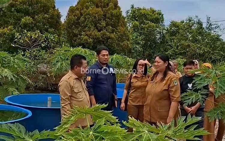 Bupati Kapuas Tinjau Balai Benih Ikan