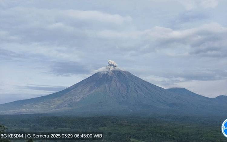 Gunung Semeru Erupsi dengan Tinggi Kolom Letusan hingga 800 Meter