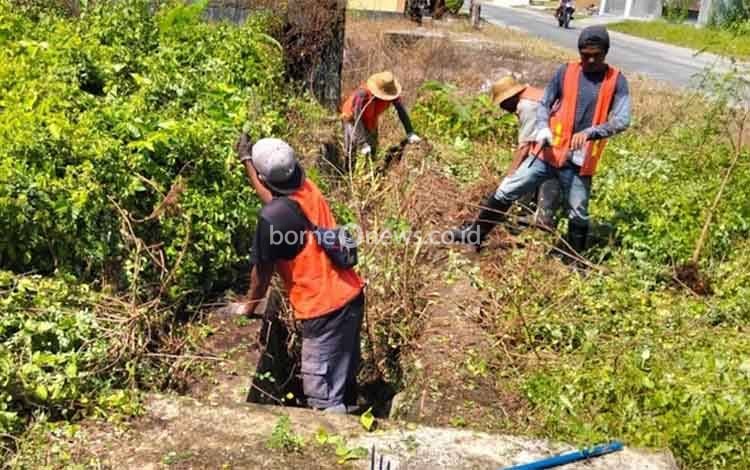 Bersihkan Rumput Liar Tutupi Saluran Drainase Cegah Banjir di Palangka Raya