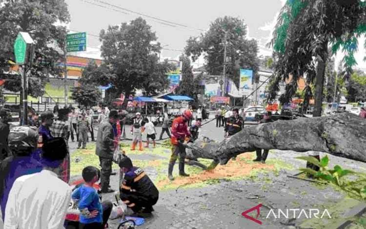Kemensos Jamin Santunan 22 Korban Pohon Tumbang Saat Shalat Id
