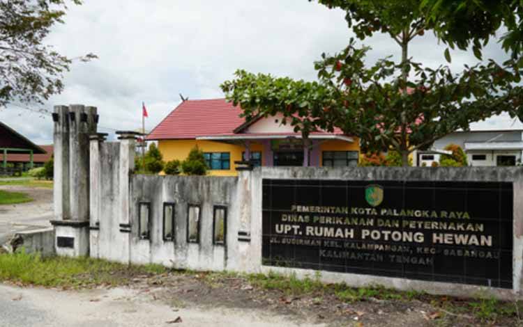Dewan Tekankan Penyembelihan Higienis dan Efisien di RPH Kalampangan