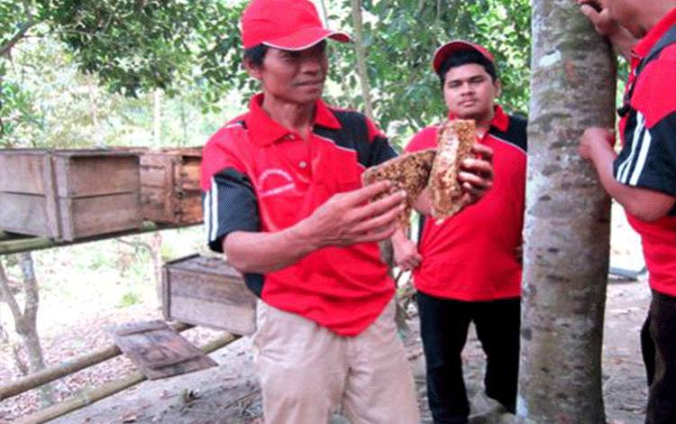 Sri Ani Rintuh Dorong Pemko Palangka Raya Berikan Pelatihan bagi Pelaku Usaha Madu