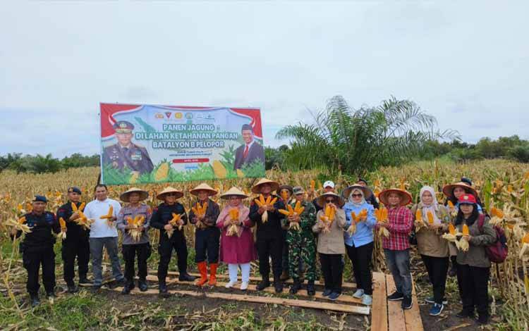 Bulog Kotim Pastikan Serap Jagung Pipilan Kering Petani Sesuai HPP