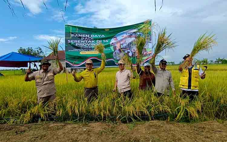 Bupati Seruyan Panen Raya Padi Serentak Bersama Presiden