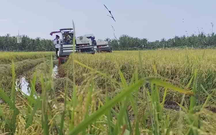 Bupati Kotim Apresiasi Ketahanan Pangan di Lampuyang, Minta Inventarisasi Kebutuhan Petani