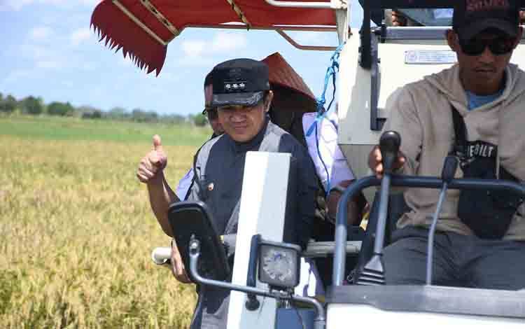 Bupati Pulpis dan Gubernur Kalteng Hadiri Panen Padi Serentak di Desa Pantik