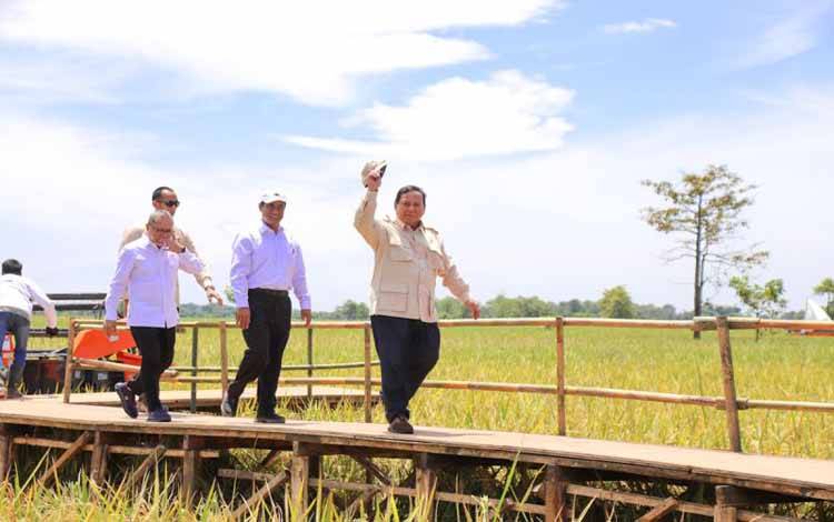 Mentan: HPP Gabah Rp6.500/kg Keberpihakan Presiden ke Petani