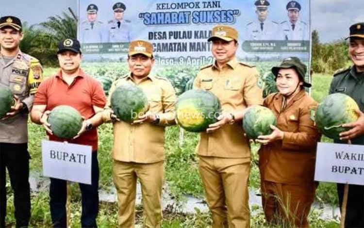 Hadiri Panen Semangka di Desa Pulau Kaladan, Bupati Kapuas Harapkan Ini