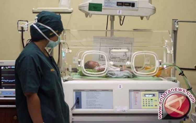 Dokter Sebut Usia Ideal Perempuan untuk Bayi Tabung di Bawah 35 Tahun