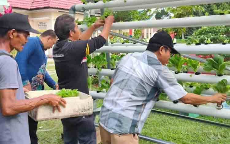 Dewan Minta Pemko Palangka Raya Dampingi Budidaya Hidroponik Warga