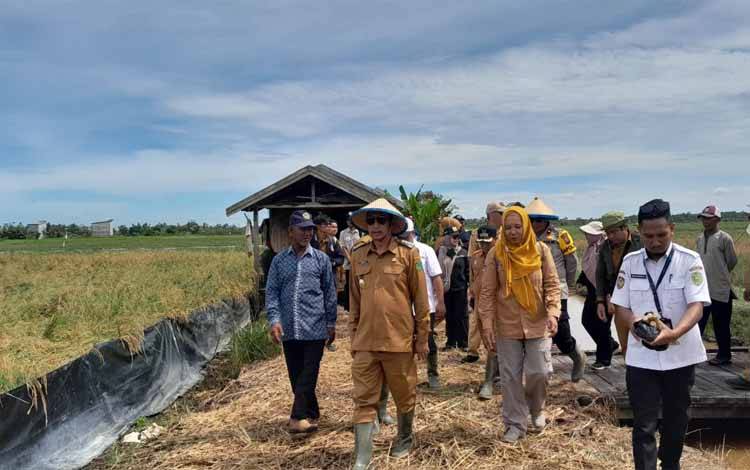 Bupati Sukamara: Masih Banyak Lahan Pertanian yang Belum Termanfaatkan