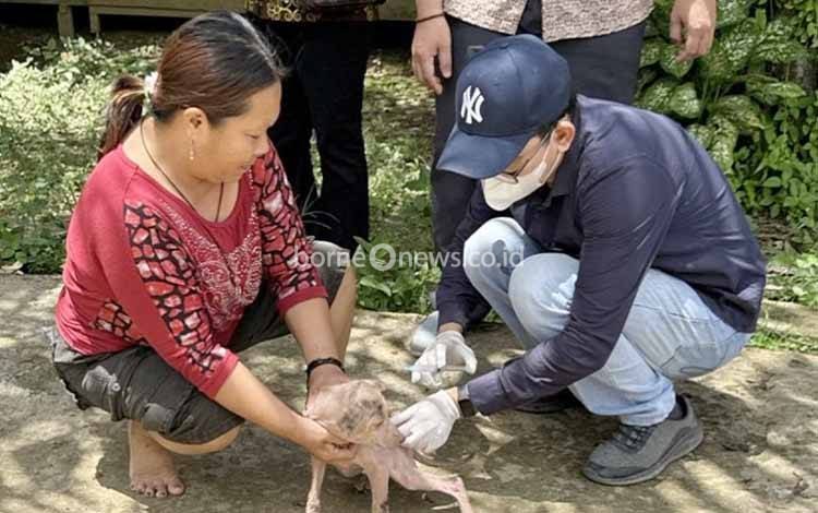 Abianhin Imbau Masyarakat Barito Timur Waspadai Penularan Rabies